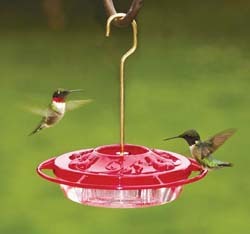 Hummingbird Feeder